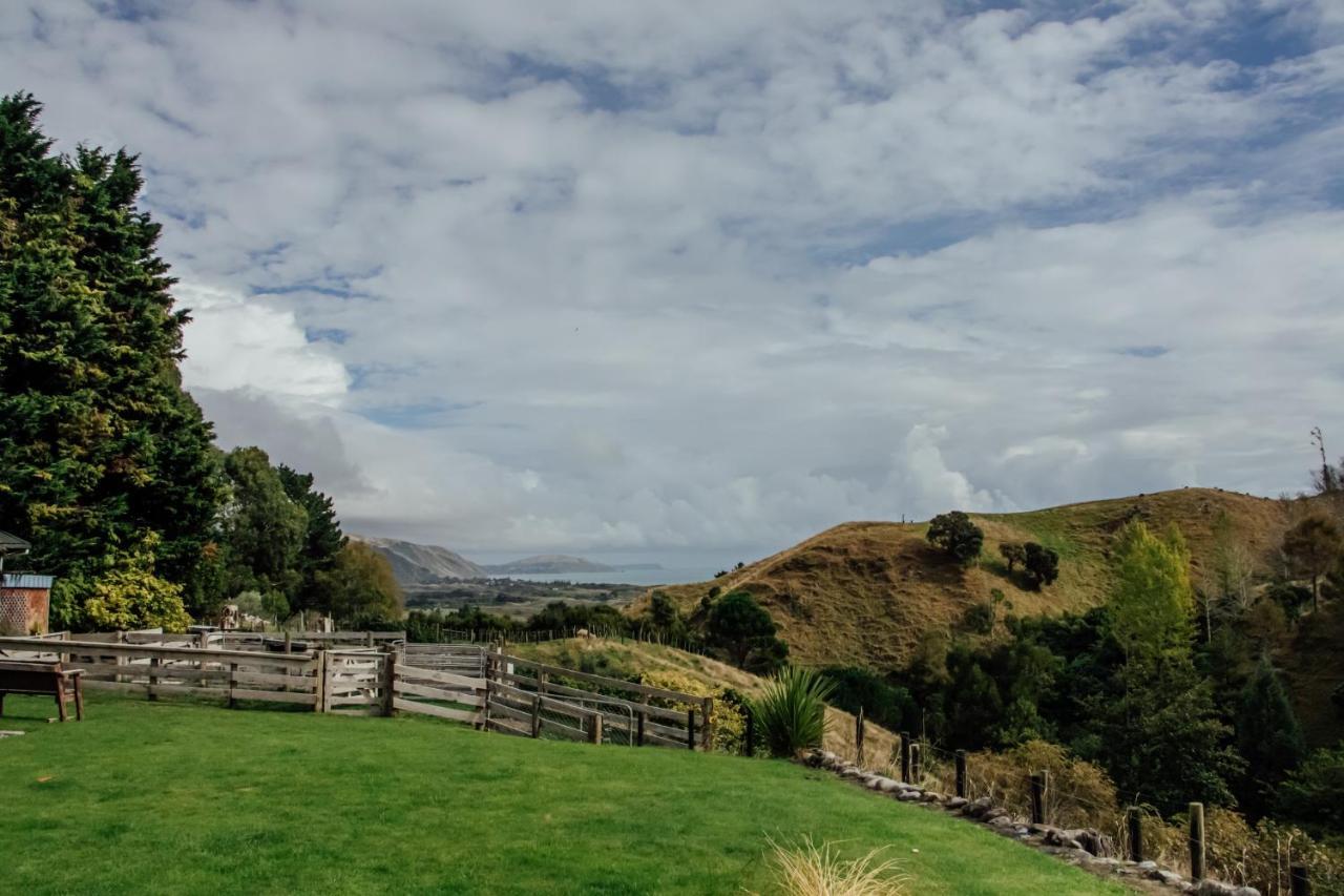 Luxury Stay, Alpaca Farm Paraparaumu Zewnętrze zdjęcie