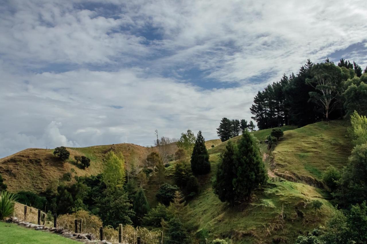 Luxury Stay, Alpaca Farm Paraparaumu Zewnętrze zdjęcie